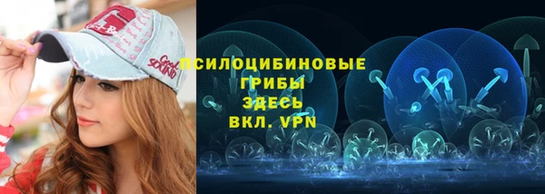 бошки Богданович
