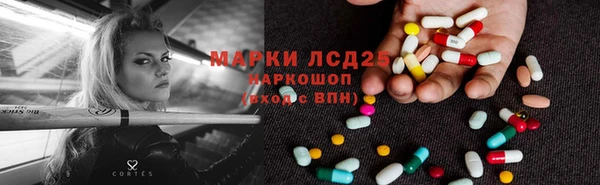 бошки Богданович