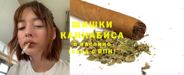 бошки Богданович
