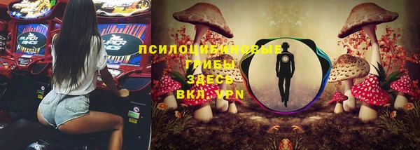 бошки Богданович