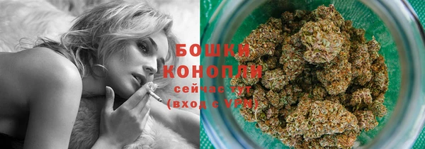 бошки Богданович
